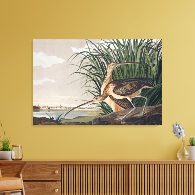 Toile Oiseau de Courlis à long bec Audubon (Insitu(Salon))