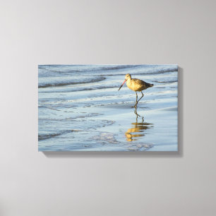 Toile Oiseau de mer 3