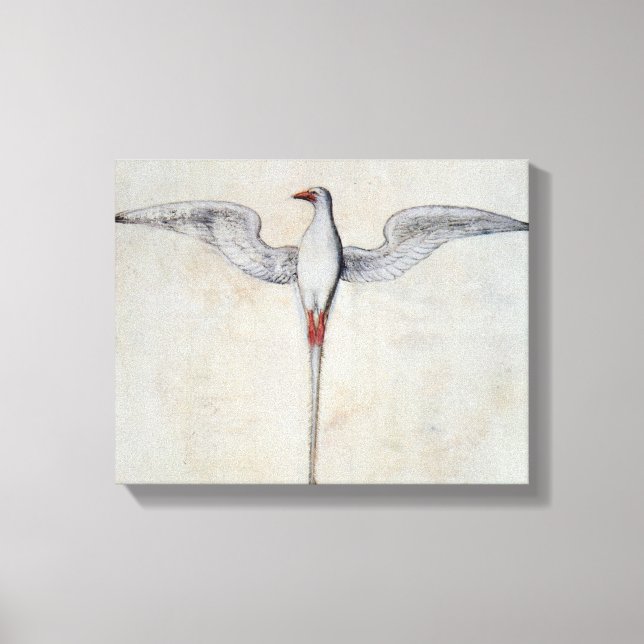 Toile Oiseau tropique (Recto)