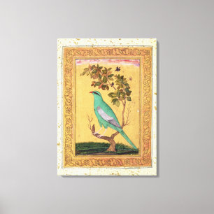 Toile Oiseau vert, Mughal (gouache sur le papier)