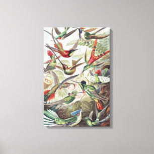 Toile Oiseaux de colibri Faune Peinture classique