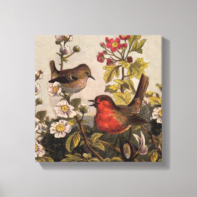 Toile Oiseaux de printemps Robin Oiseaux rouges (Recto)