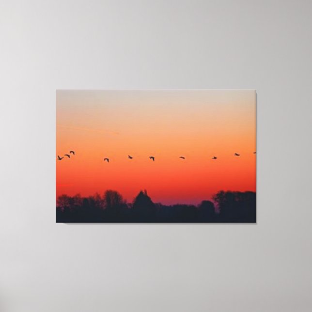 Toile OISEAUX DE VOL GRATUITS BEAU PAYSAGE Nature (Recto)