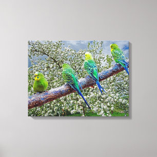 Toile Oiseaux - perruques