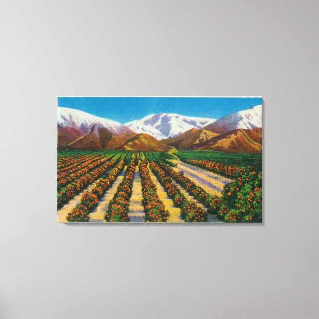 Toile Old Baldy Mountain depuis les Orange Groves (Recto)