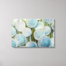 Onion Millions d'aquarelles