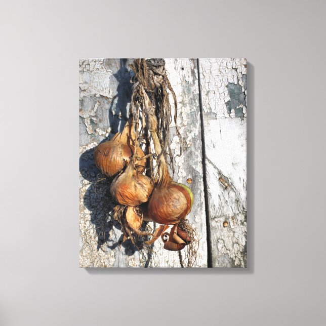 TOILE ONIONS (Recto)