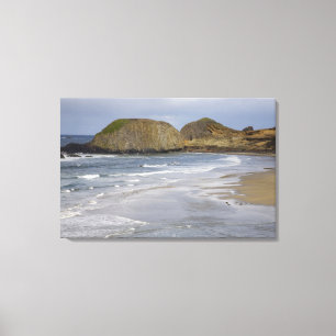 Toile OR, côte de l'Oregon, Seal Rock State Park,