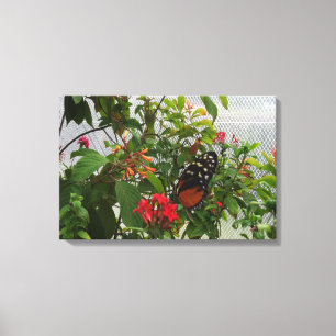 TOILE ORANGE BUTTERFLY