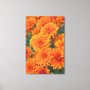Toile Orange Garden Flowers Mums Autumn Art