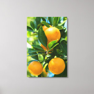 Toile Oranger en fruits