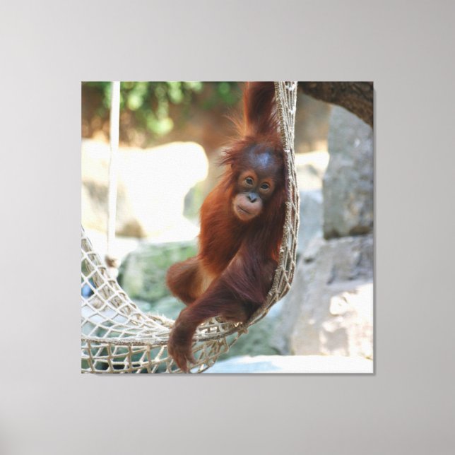Toile OrangUtan 001 (Recto)