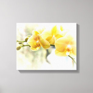 Toile Orchidée papillon jaune au soleil