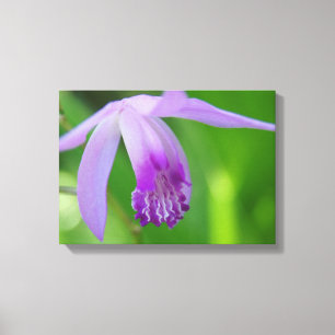 Toile Orchidée pour vous !