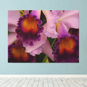 Toile Orchidée royale violette de Cattleya
