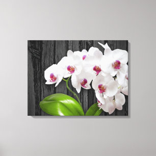 Toile Orchidées Blanches Sur Écorce En Bois