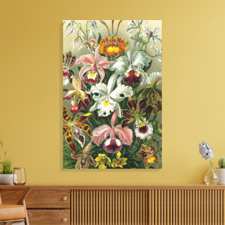 Toile Orchidées Ernst Haeckel, Fleurs Vintages de la for