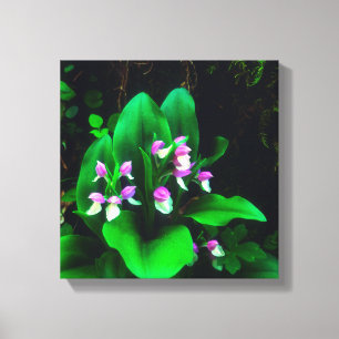 Toile Orchidées Fleurs sauvages