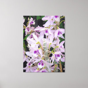 Toile Orchidées Honohono