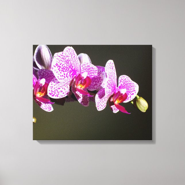 Toile Orchidées roses (Recto)