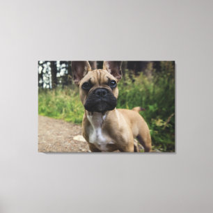 Toile Oreiller de taie French Bulldog