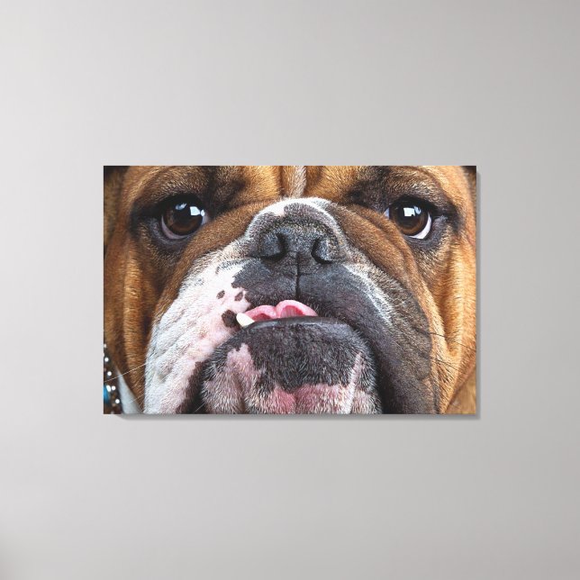Toile Oreillers à lancer de Bulldog anglais (Recto)