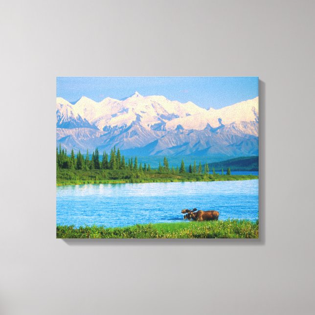 Toile Orignal mâle dans le Wonder Lake (Recto)