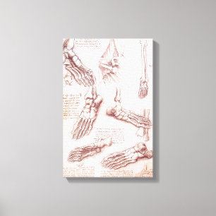 Toile Os de pied anatomiques humaines de Léonard de Vinc