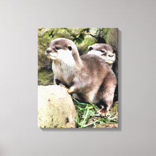 TOILE OTTERS
