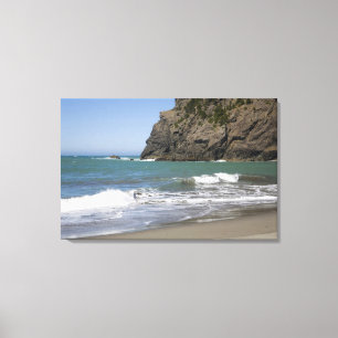 Toile OU, Côte de l'Oregon, Plage de Whaleshead, Sud