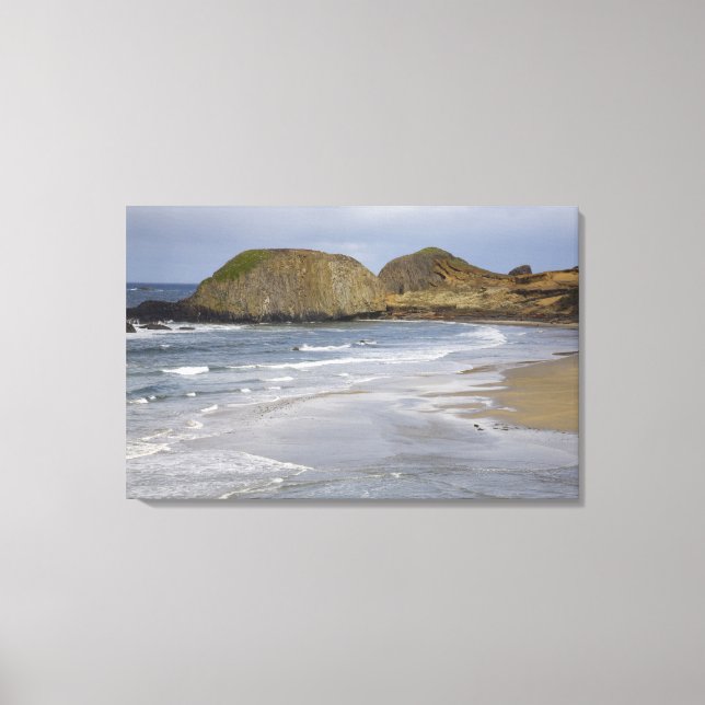 Toile OU, Côte de l'Oregon, Seal Rock State Park, (Recto)