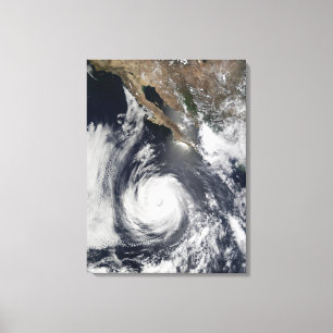 Toile Ouragan Douglas