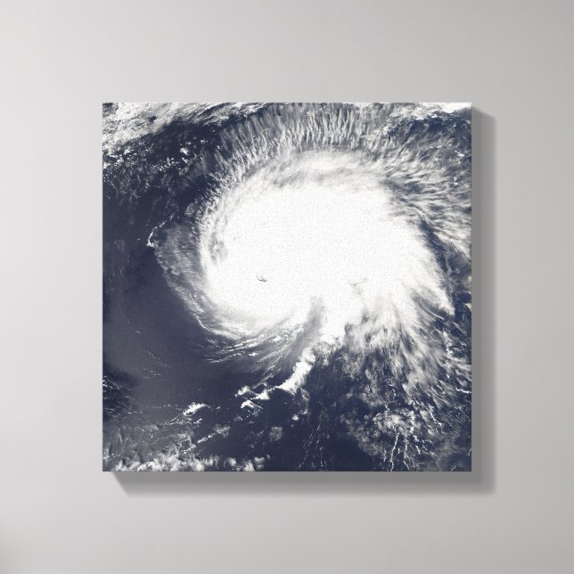 Toile Ouragan Gordon (Recto)