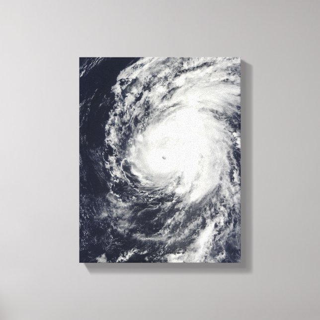 Toile Ouragan Neki à l'ouest d'Hawaii (Recto)