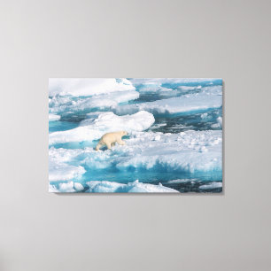 Toile Ours blanc marchant sur la mer