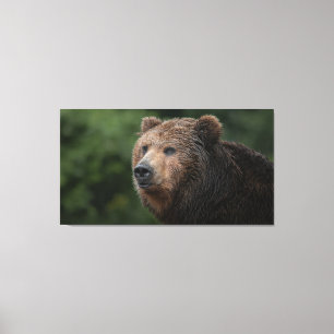 Toile Ours Brown Kamchatka