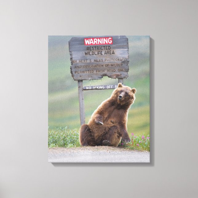 Toile Ours Grizzly Joue Avec Un Panneau (Recto)