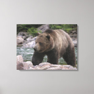 Toile Ours grizzly - Pastels