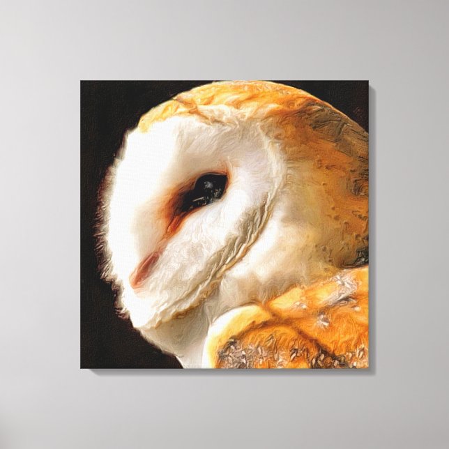 TOILE OWLS (Recto)