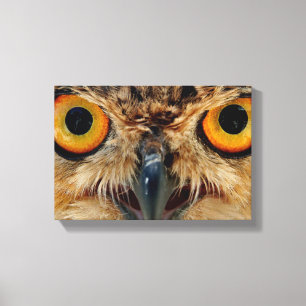 Toile Owls Eyes
