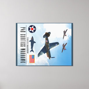 TOILE P-40 CURTISS WARHAWK SQUADRON