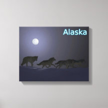 Pack Wolf - Alaska