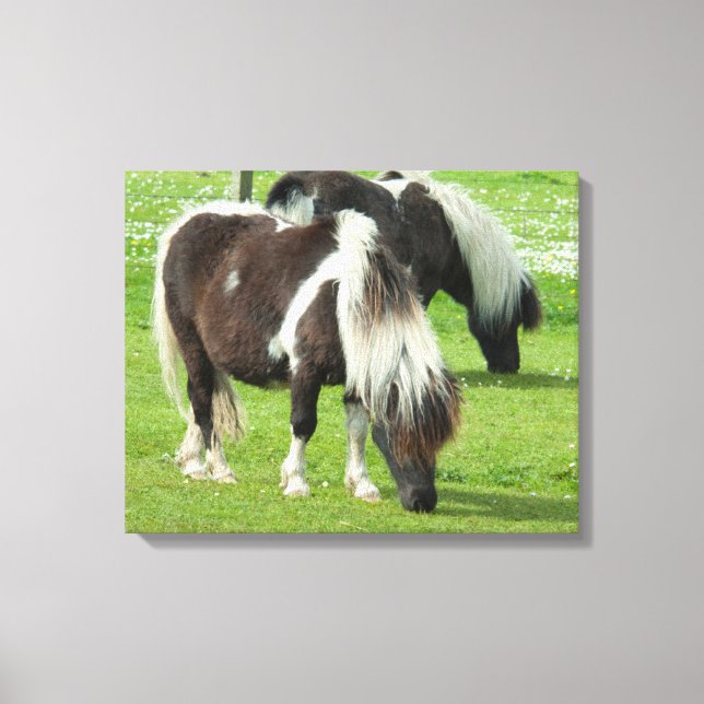 Toile Paint Ponts Purebred Shetland (Recto)