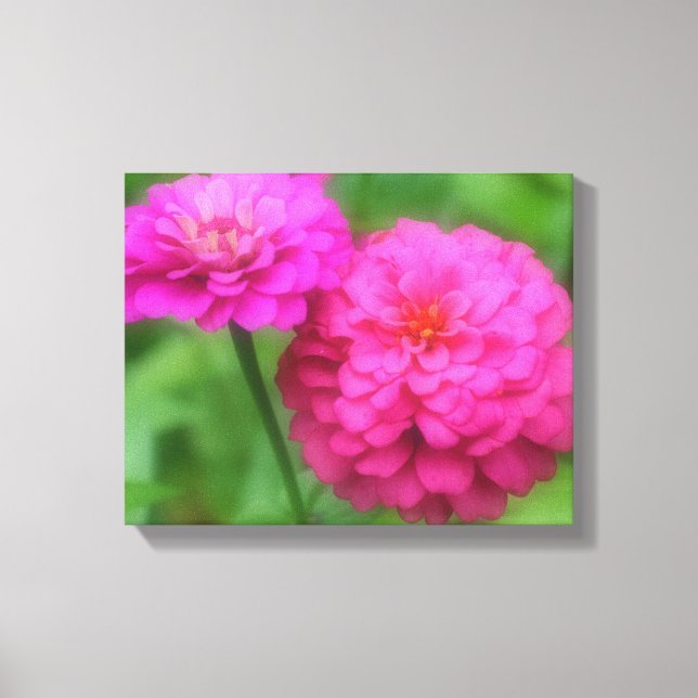 Toile Paire de fleurs rose Zinnia (Recto)