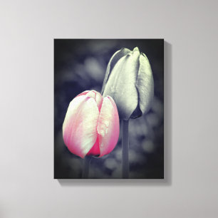 Toile Paire Tulipe Rose Couleur Partielle Noir Et Blanc