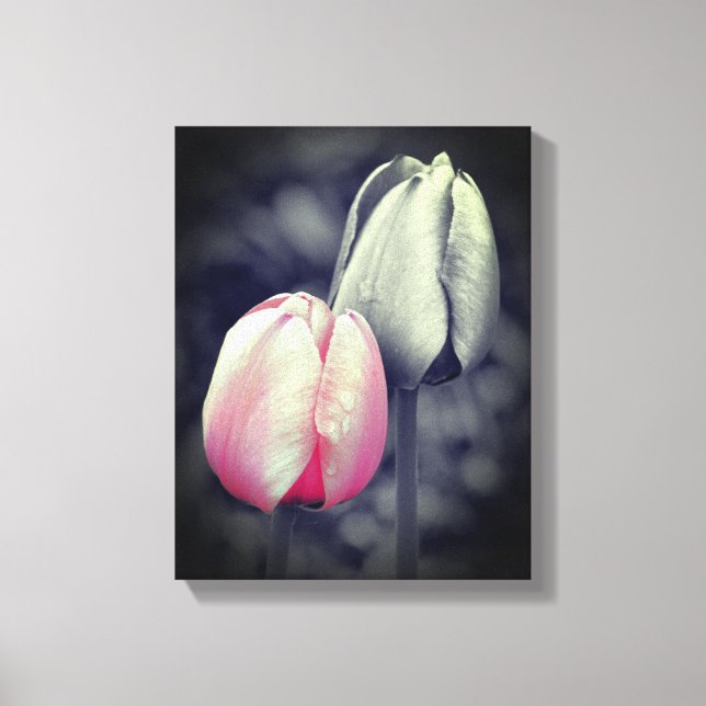 Toile Paire Tulipe Rose Couleur Partielle Noir Et Blanc (Recto)