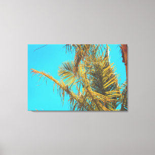 Toile Palm Tree Feuille Turquoise Sky