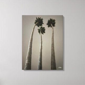 Toile Palmiers de Santa Cruz la nuit - Œuvre d'art