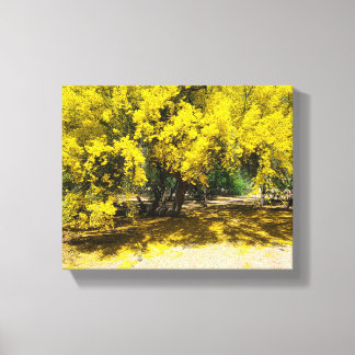 Toile Palo Vert jaune