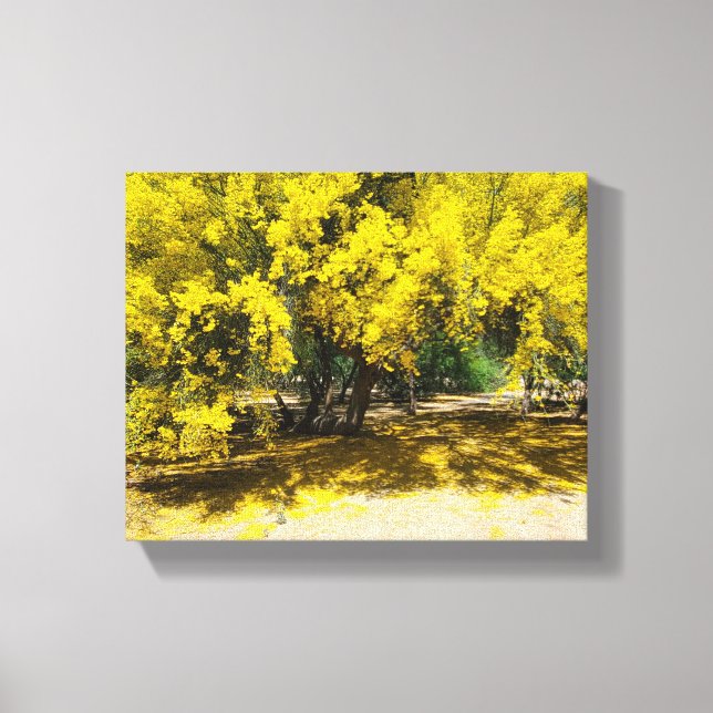 Toile Palo Vert jaune (Recto)